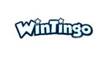 wintingo casino ar|WinTingo Casino Review .